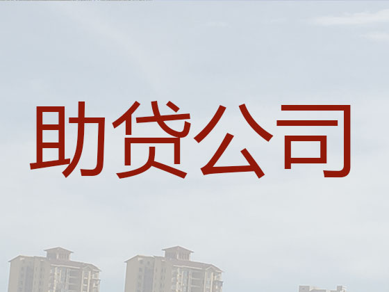 南阳抵押贷款公司-银行担保贷款